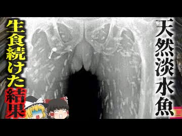 『天然淡水魚寿司で体中寄生虫だらけに』寿司ブームで何年も淡ナマズ、コイの生食繰り返した男性 数年後に臓器や筋肉が死んだ寄生虫の幼虫だらけに…『淡水魚由来条虫症』【ゆっくり解説】