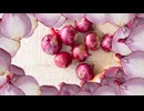 A ton of red onions.田中鉄也　オンド.com