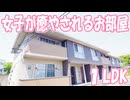 オシャレな癒やされる空間女子の一人暮らし１LDK プレミール 岡山市中区平井