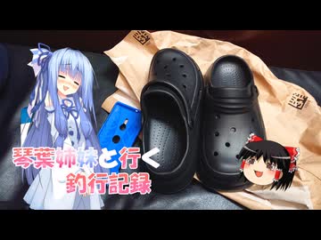 琴葉姉妹と行く釣行記録（車載編part36 70）