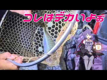 【VOICEROIDフィッシング・アジング・清掃活動】大分・別府湾ボートアジングからの清掃活動です