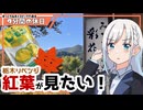 【ゆっくりボイスピ車載】栃木紅葉リベンジ～前編～【9分間の休日】