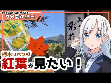 【ゆっくりボイスピ車載】栃木紅葉リベンジ～前編～【9分間の休日】
