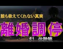【ガチ修羅場】離婚調停シミュレーション第一回。これが現実の闇だ【連れ去り別居】