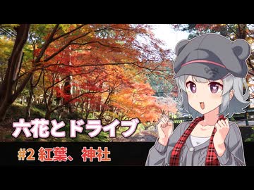 【小春六花車載】六花とドライブ　#2「小國神社の紅葉を一眼レフでパシャリ」