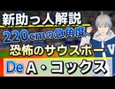 エグすぎる角度で膝下攻め！ガチの先発左腕オースティン・コックス選手獲得【横浜DeNAベイスターズ】【コックス ベイスターズ】【DeNA 新助っ人】