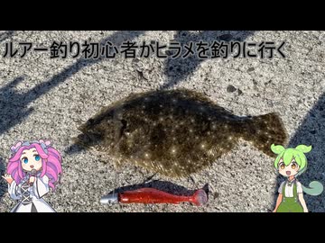 ルアーでヒラメ釣りを始めた結果ｗｗ