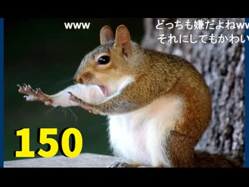 【会員生放送】タンクトップ通信 第１５０号