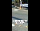 やじゅまんと見る散歩