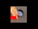 やじゅまんと見る演奏