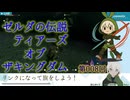 【ゼルダの伝説】008_地下旅行【ティアーズオブザキングダム】