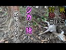 狩猟勢子動画＃035　シカと猪と蚊帳の外な私