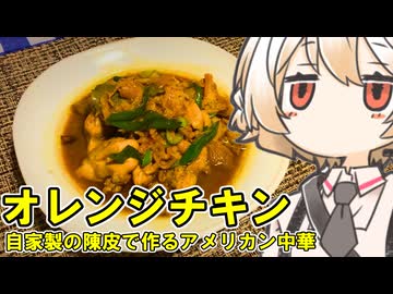 オレンジチキン【ナースロボ】