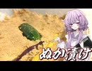 【ぬか漬け】結月ゆかり曰く、丹精込めて育てればええねんやろ？【VOICEROIDキッチン】