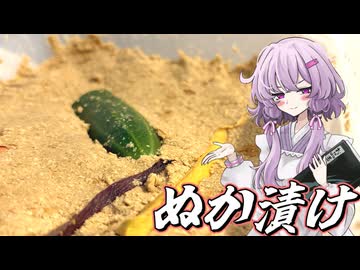 【ぬか漬け】結月ゆかり曰く、丹精込めて育てればええねんやろ？【VOICEROIDキッチン】