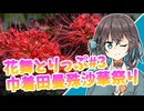 花舞とりっぷ#３　巾着田曼殊沙華祭り【VOICEPEAK旅行】