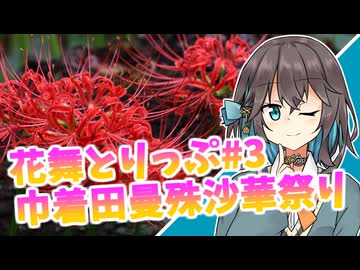 花舞とりっぷ#３　巾着田曼殊沙華祭り【VOICEPEAK旅行】
