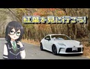 【VOICEPEAK車載】紅葉を見に行こう【花隈千冬】