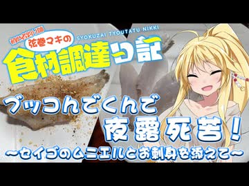 【VOICEROIDフィッシング】初心者釣り師　弦巻マキの食材調達日記＠第弐話