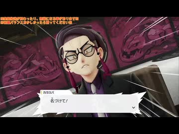 幻の観光ゲーム『Pokémon LEGENDS Z-A』垂れ流し(M次元ラッシュ) その27