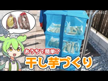 おうちで簡単？干し芋づくり（2025年11月）