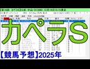 【競馬予想】2025「カペラＳ(GⅢ)」