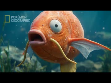 ホモと見るポケモンの世界の知られざる真実