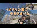 うめきた公園で牛丼食べる。