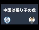 【Gemini相談室】中国は「張り子の虎」か〜清朝末期との比較と軍事力の実態【前編】
