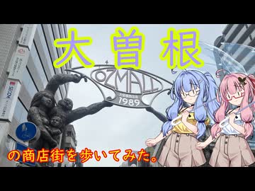 【再開発失敗？】大曽根の商店街を歩いてみた。【琴葉姉妹】