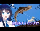 【SANPO】ワンちゃんはお散歩に出かけたい！【双葉湊音】