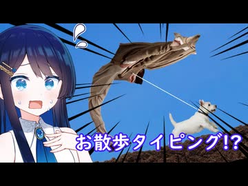 【SANPO】ワンちゃんはお散歩に出かけたい！【双葉湊音】