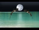 日月継大神様が世界中のすべての人々を御救いになる_世界中のすべての人々を御救いになる(5)(2)