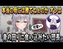 ラプちゃんが可愛くてたまらない 母親になりたい団長【白銀ノエル/ラプラス・ダークネス/ホロライブ/切り抜き/ホロライブ切り抜き】