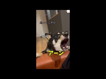 芥川龍之介のアーン