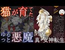【D2メガテン】オススメ悪魔紹介26(女神・マリア編)【初心者支援】