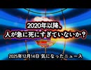 【謎の大量死は世界で起きている】◆2020年以降、なぜ人はこんなにも早く死ぬのか ～ 免疫・がん・急変をめぐる一人の告白【超過死亡】
