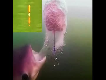 ホモと見る針を避けて餌だけ器用に食う魚