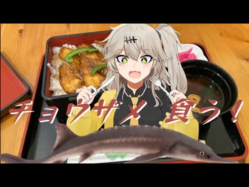 チョウザメを食べる春日部つむぎ【合成音声車載】