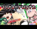 【カービィのエアライダー】伝説登場！！マッチョードロッチェとデゼニーウィリーで地上を無双【ゆっくり実況】