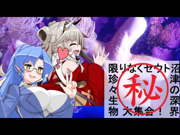 蓮鬼ねむ Raid ON ! with 後鬼　沼津水族館　中編　いわゆる一つのボス部屋前セーブ