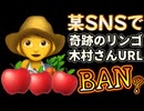 20251214_果たして「奇跡のリンゴ、木村さん」の存在は、某SNSにとって〇〇な存在なのであろうか？それとも‥