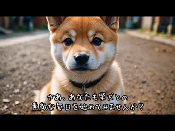 柴犬！