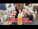 【完全栄養】【生存報告】　生卵10個にバナナオムレットソーダを混ぜたら最高のプロテインが完成しました1430日目