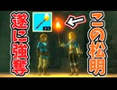 【超激レア】ついにプロローグゼルダの松明を強奪する方法が発見された！！！(ver1.4.2)【ティアキン TotK】裏技 バグ 検証 ゆっくり実況 glitch