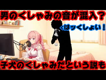 さくらみこ、自宅配信で男のくしゃみのような音と鼻をかむような音が入ってしまう【みこち/ホロライブ/カバー株式会社/VTuber】