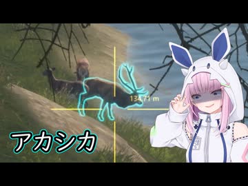 【The Hunter】メスガキハンターりう#2