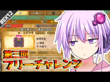 【MHWilds】虫棒専ゆかりのフリーチャレンジ～タコ焼き編～