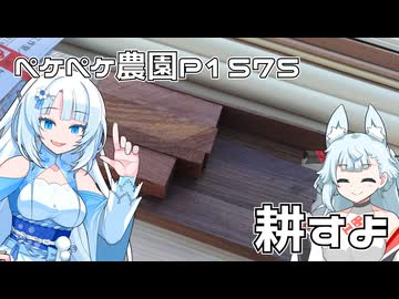 2025年12月15日　農作業日誌P1575　イベントの後の片づけをしつつ、日常に戻っていくよ