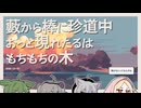 【日記】藪から棒に珍道中 おっと現れたるはもちもちの木